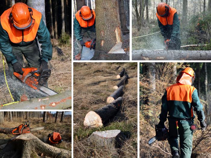 Woodcutter forest work chainsaw composite set