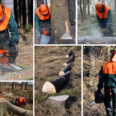Woodcutter forest work chainsaw composite set